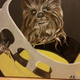 Illustration for article titled Chewbacca Is Beautiful As The Wookiee With The Pearl Earring (And More)